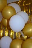 Galerie photo 